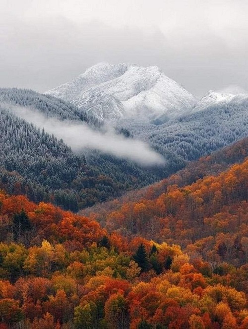 winter meets fall ogden.jpg